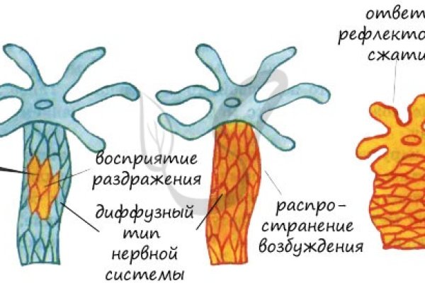 Активная ссылка кракен